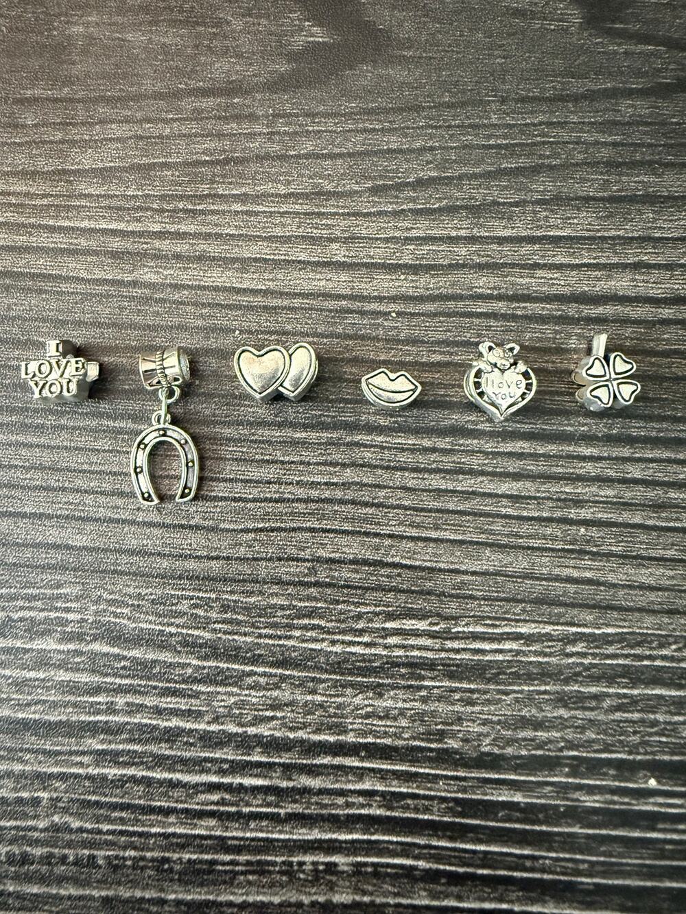 Lucky in Love Bracelet Charm Bundle (6)